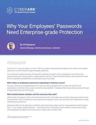 Why Your Employees’ Passwords Need Enterprise-grade Protection